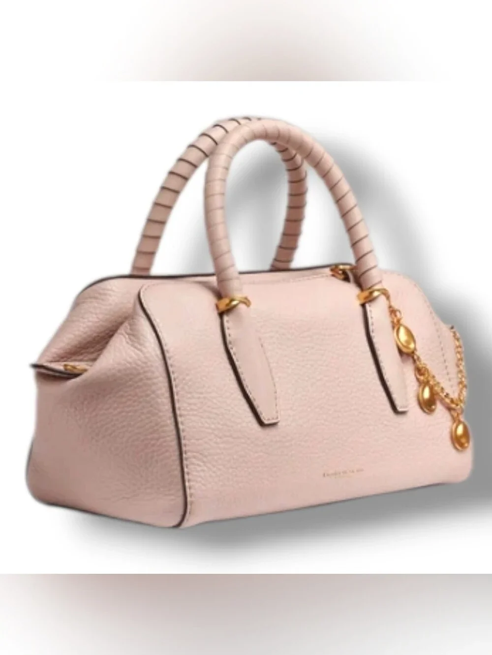 🔥NEW🔥 Donna Karan Chantilly Leather Mini Satchel